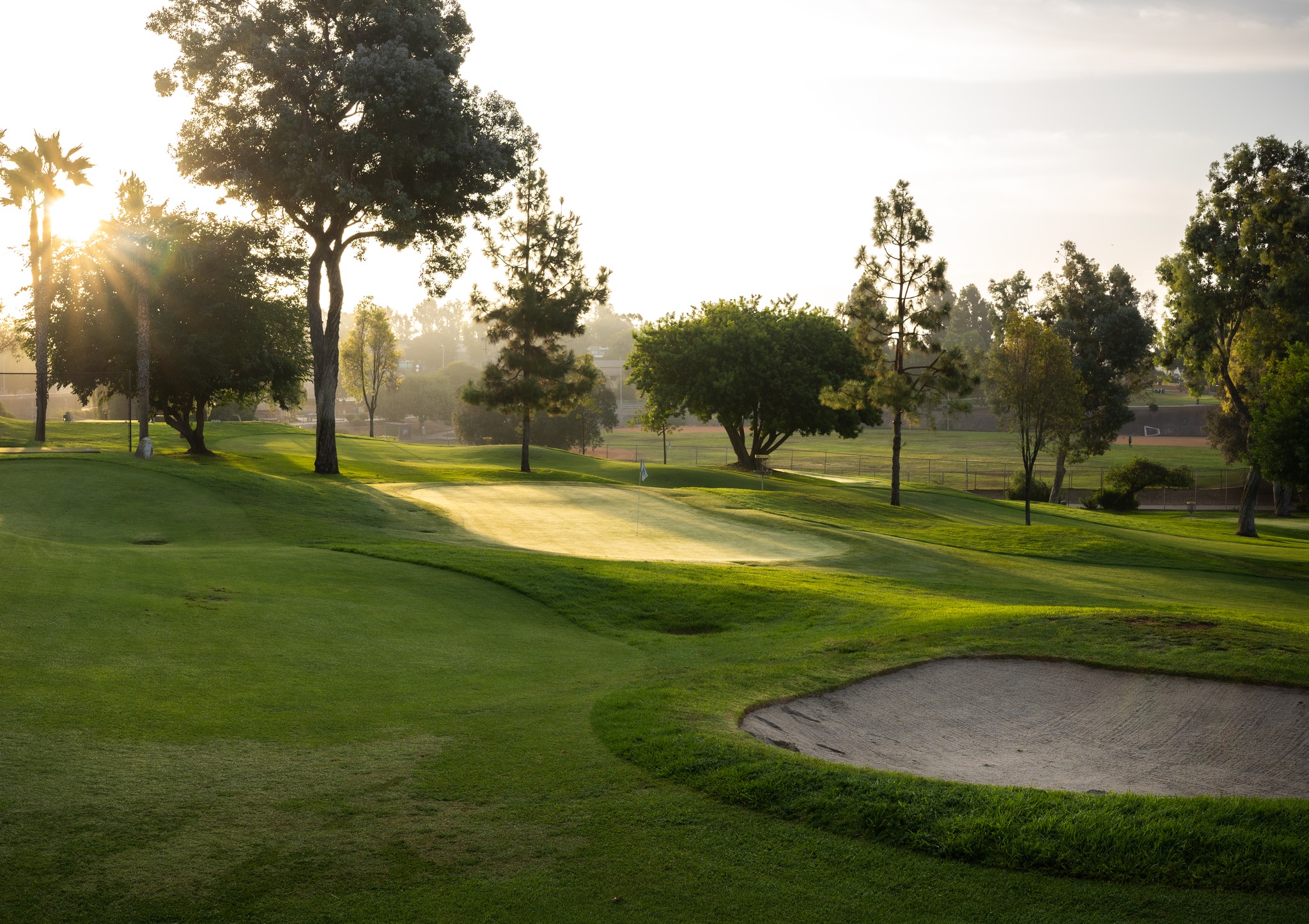 Colina Park Golf Course6