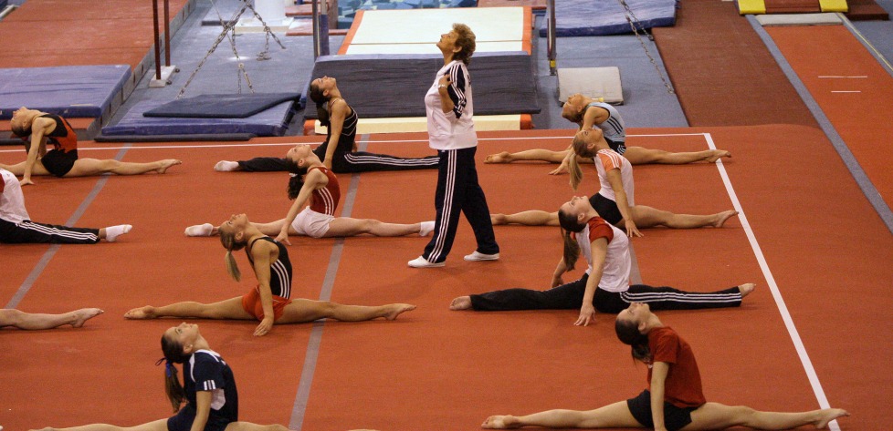 World Olympic Gymnastic Academy - Plano 4