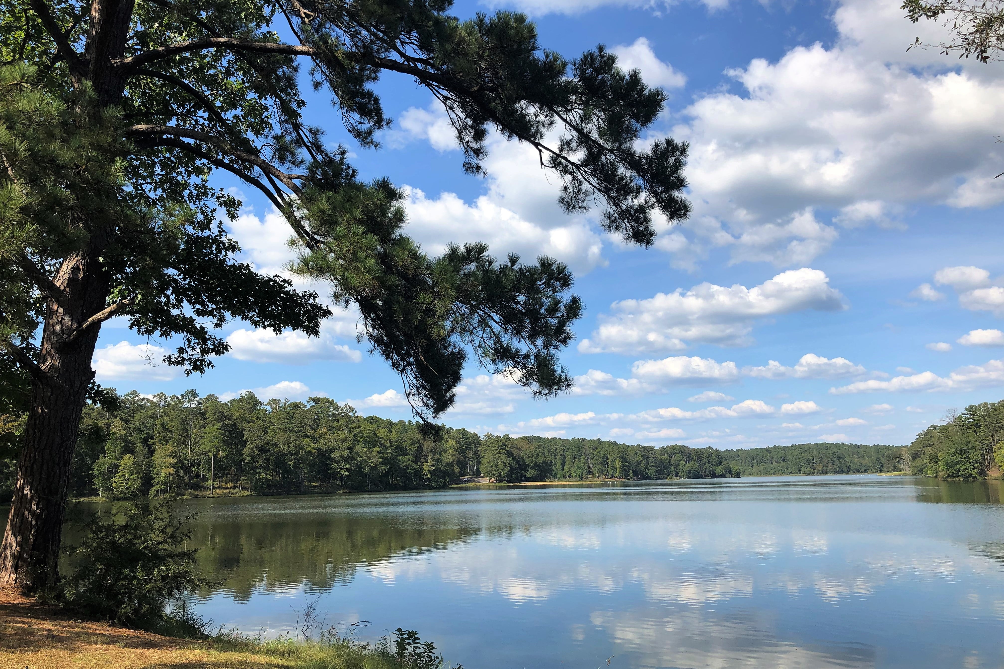 Brush Creek Park & Campground 3-min