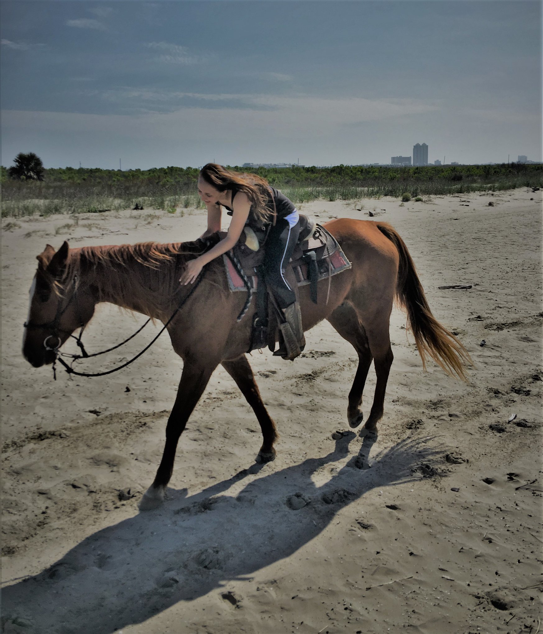 Galveston Horse and Pony Rides