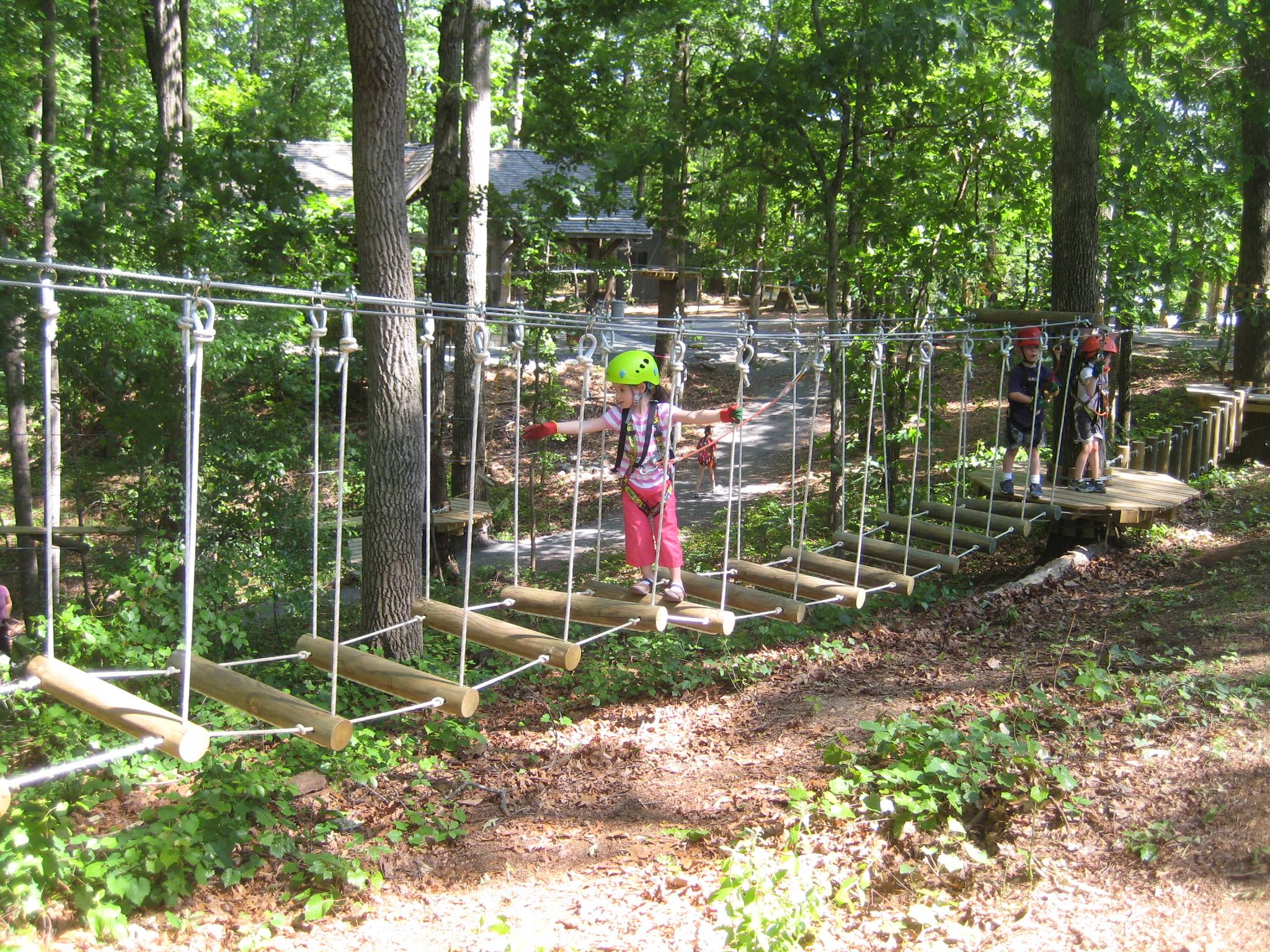 Treetop Quest3