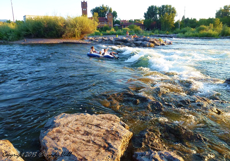 Clark Fork River - Brennah's Wave 6