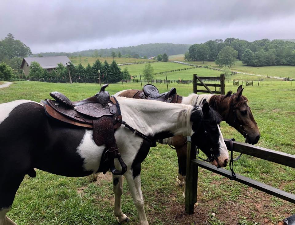 Chattooga Trails Bed & Barn7