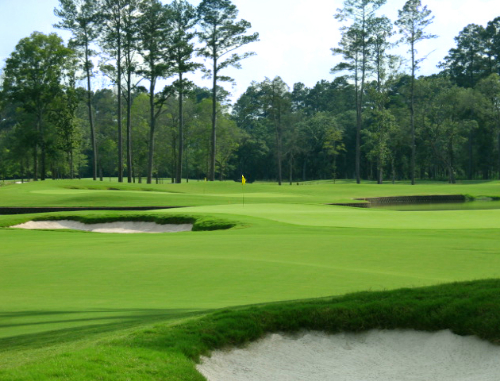carter plantation golf course visit livingston parish tournaments.jpeg