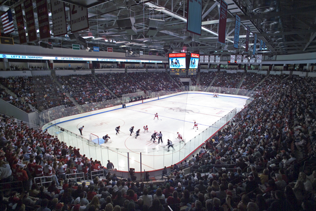 hockeygame0_24b0143e-5056-a36a-06617cb530aa9d9e.png