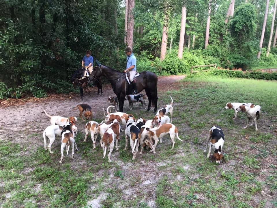 Aiken Hounds8