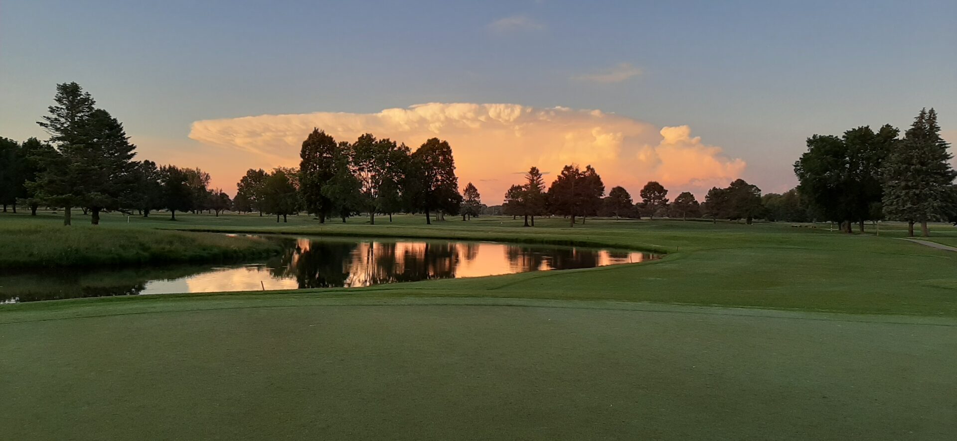 Elmwood golf course 6