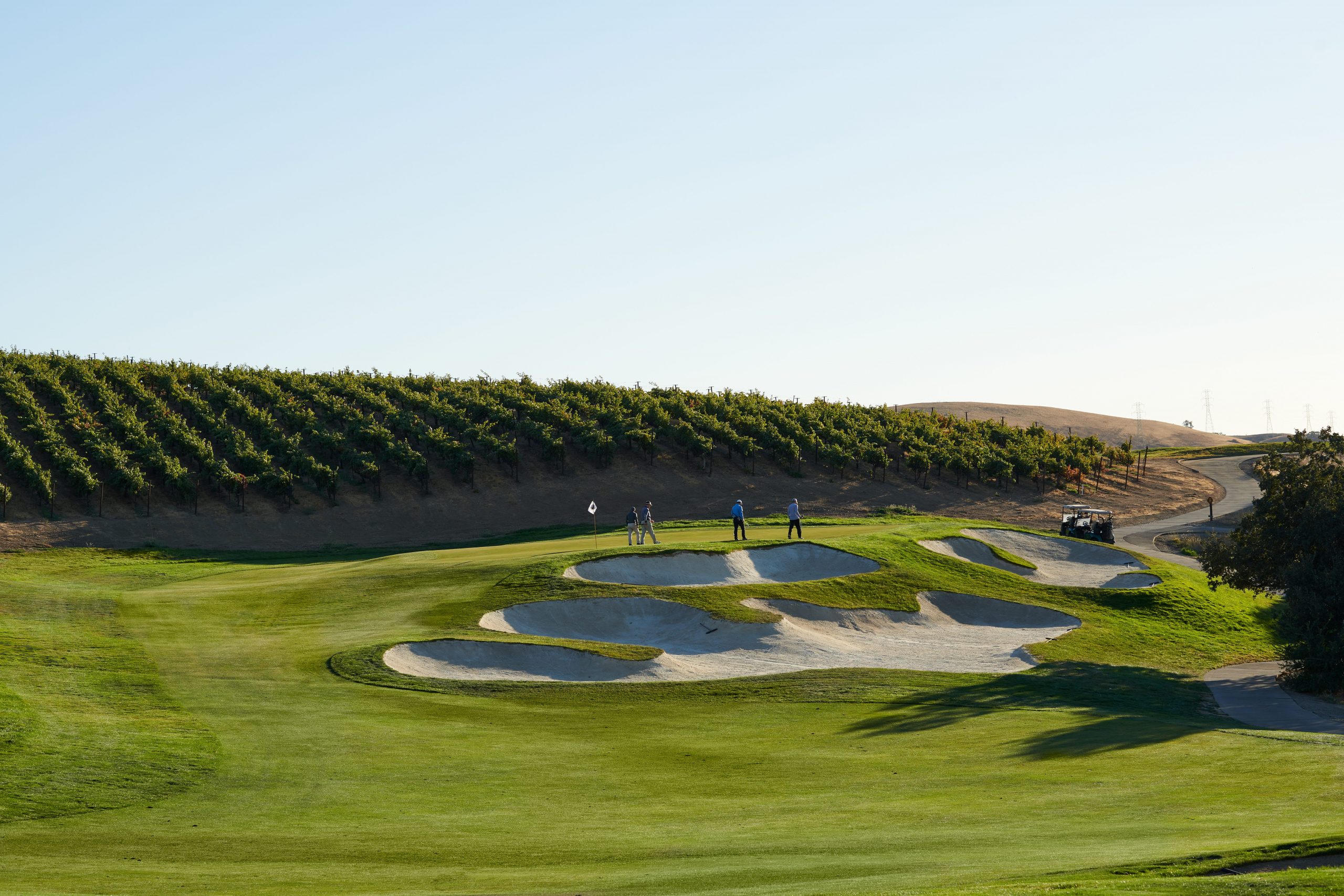 The Course at Wente Vineyards4
