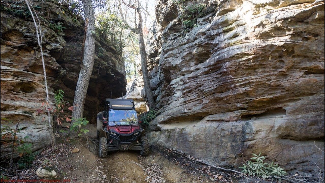 wildcatadventures