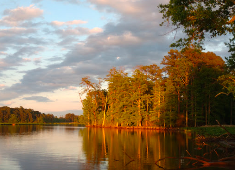 Chickahominy Riverfront Park 2