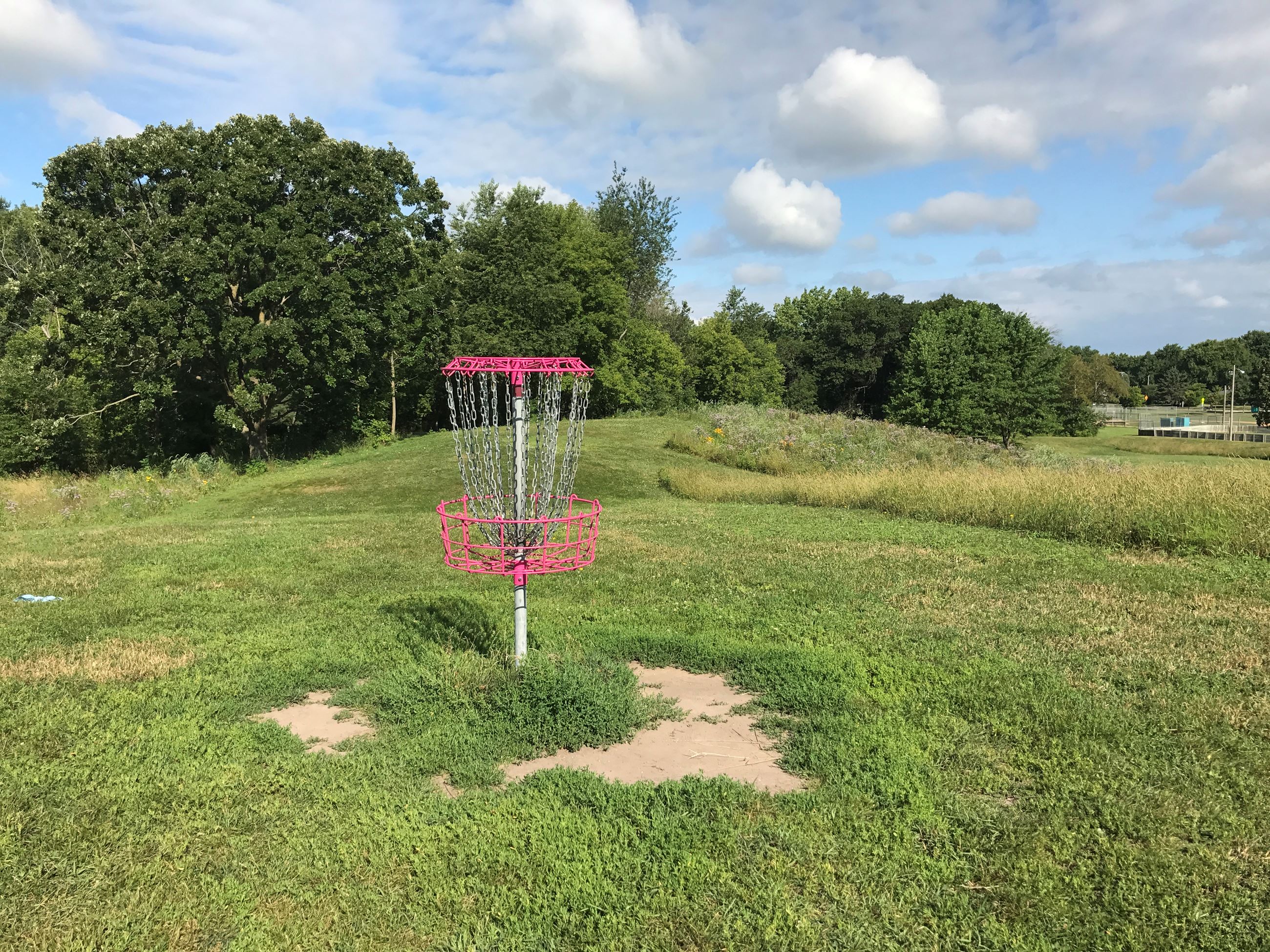 acorn park 5
