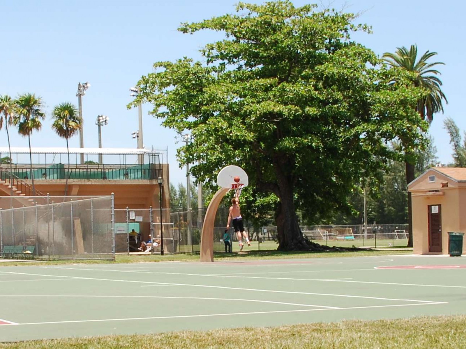 Flamingo Park 4