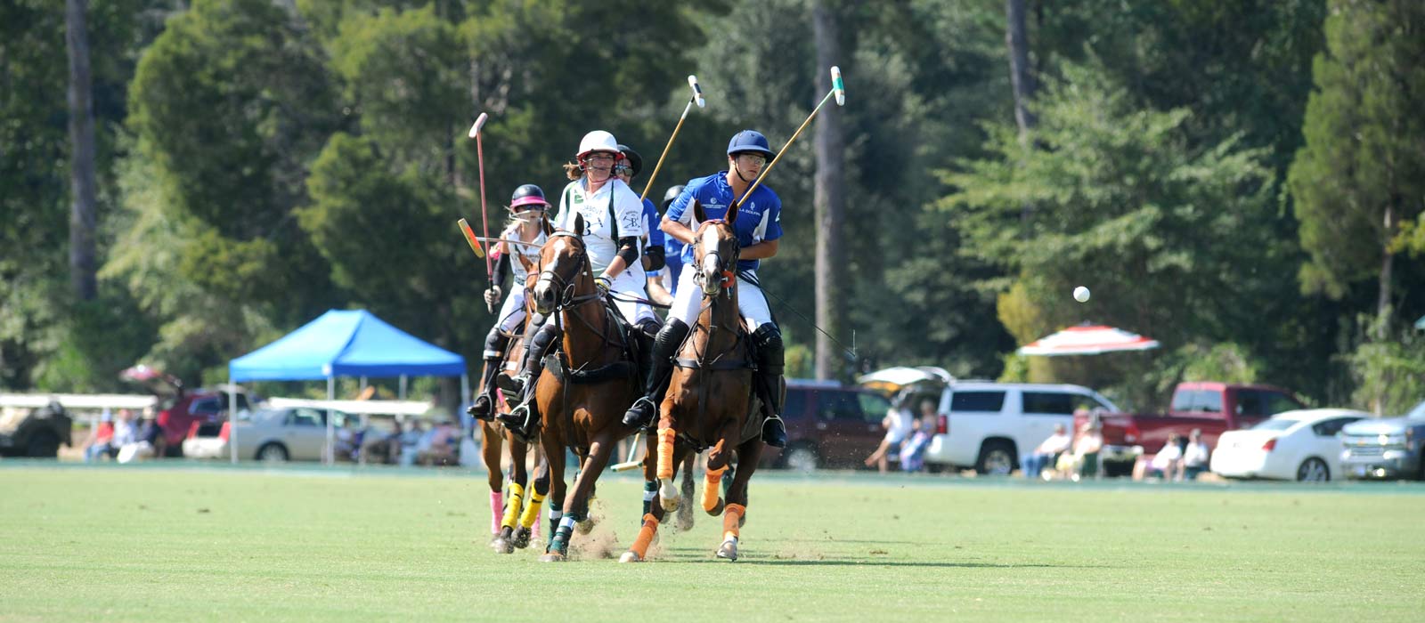 Aiken Polo Club