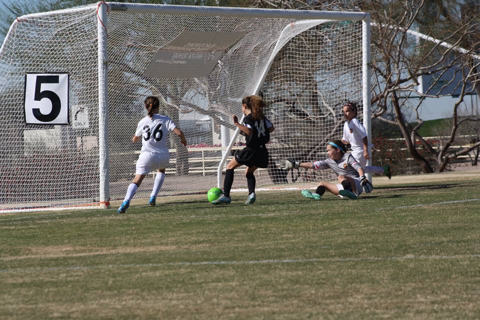scottsdale sports complex