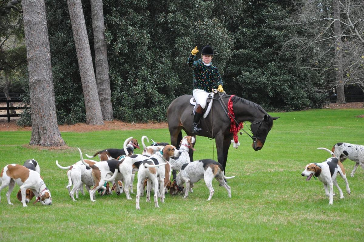 Aiken Hounds4