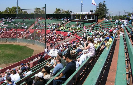 Excite Ballpark 5
