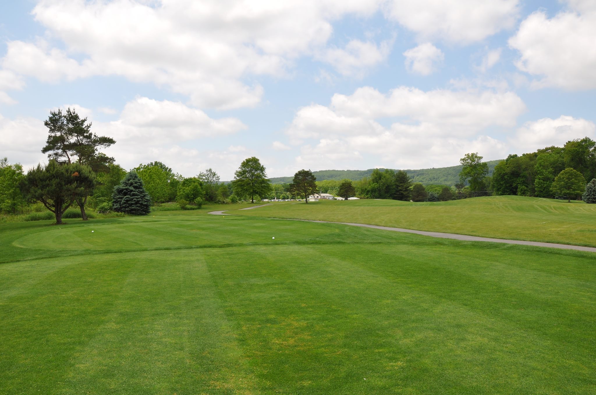 Wedgewood 5