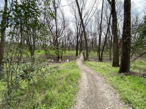 Rowlett Creek Preserve