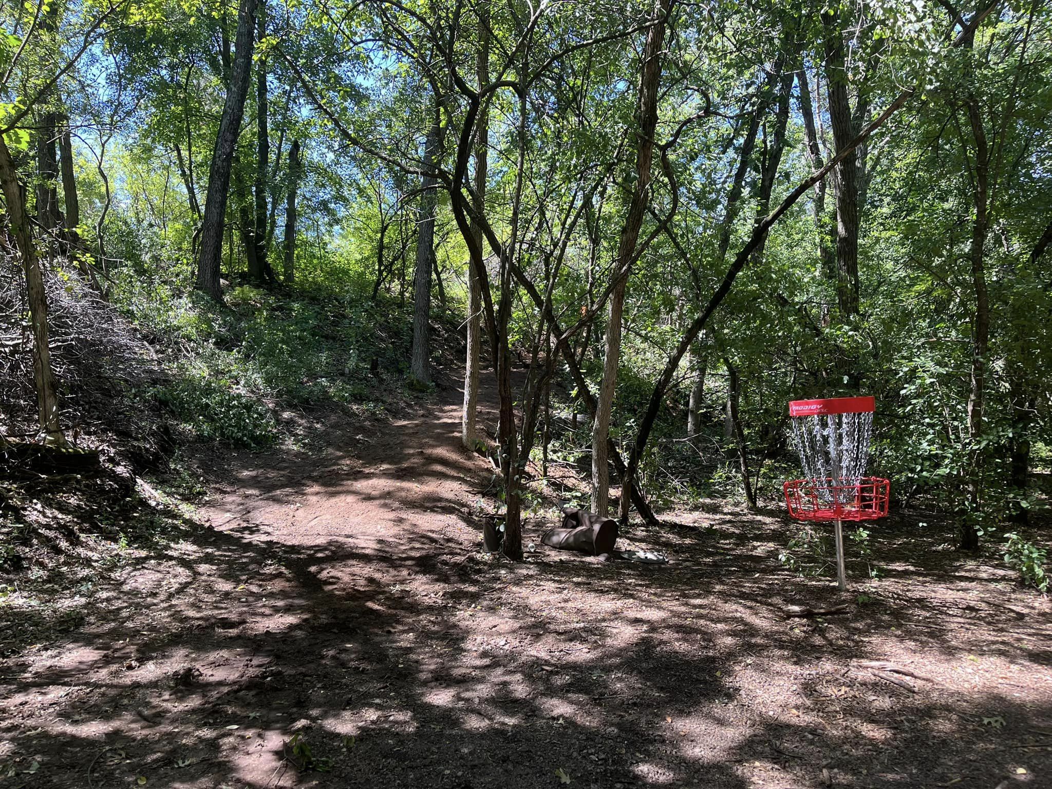 Leinie's Disc Golf pic.jpg