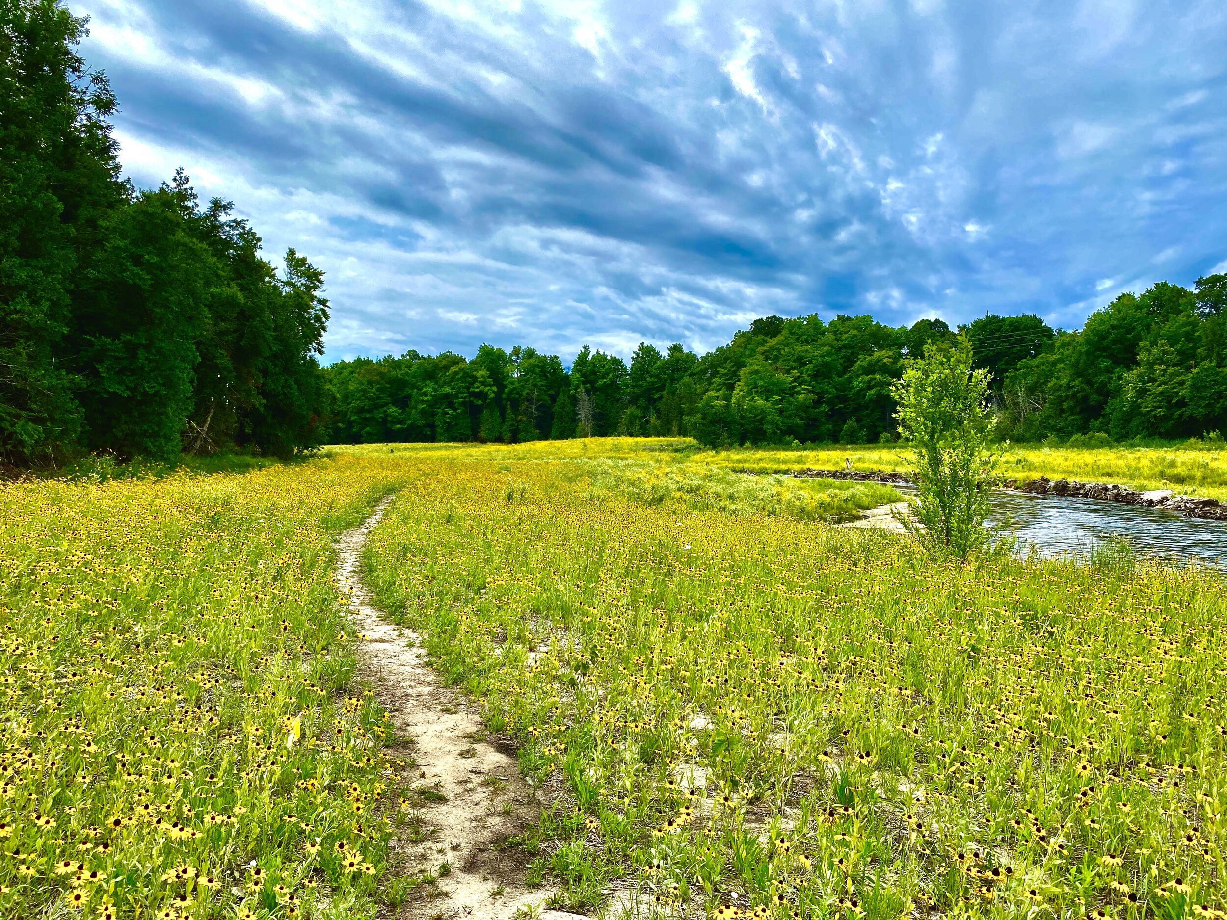 Grand Traverse Natural Education Preserve6