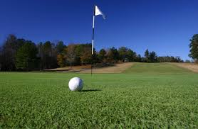Lansbrook Golf Club 5