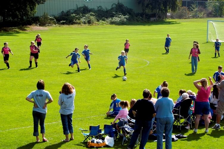 Forest Crest Playfield Complex2