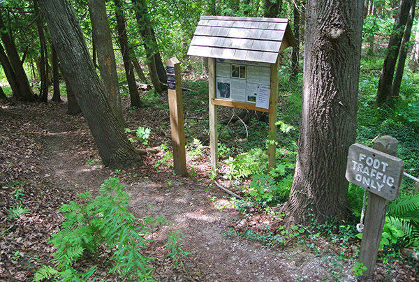 Teichner Preserve 2