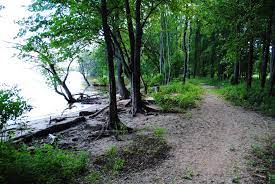 pigeon creek park 5