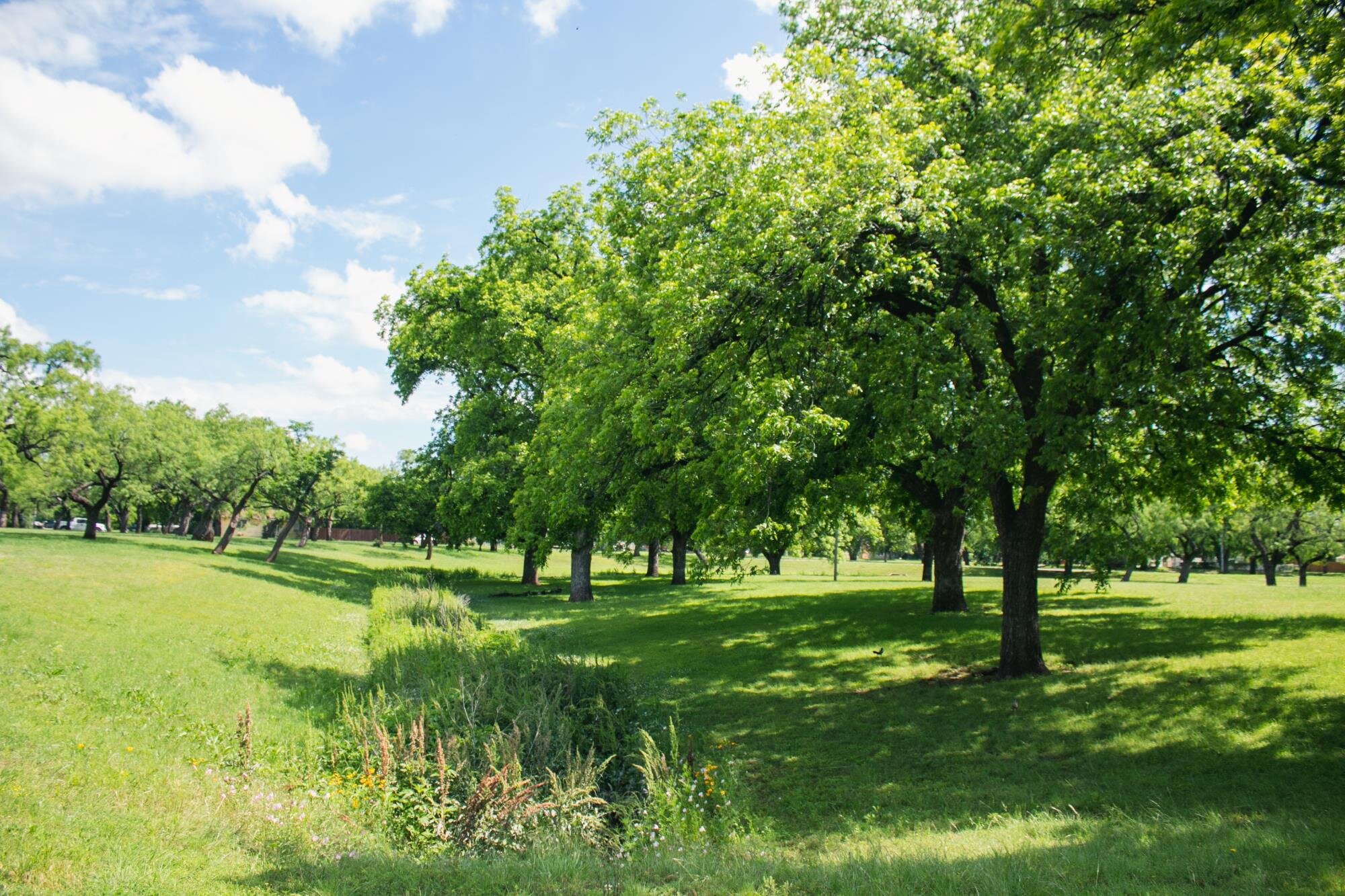 Cobb Park4
