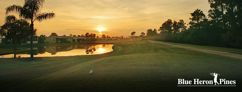 Blue Heron Pines Image.png