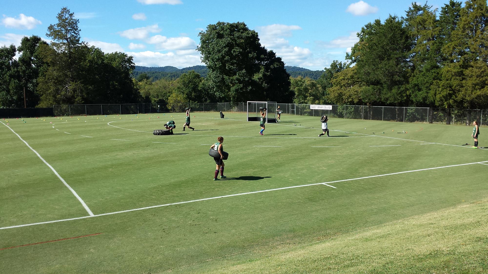 thayer field