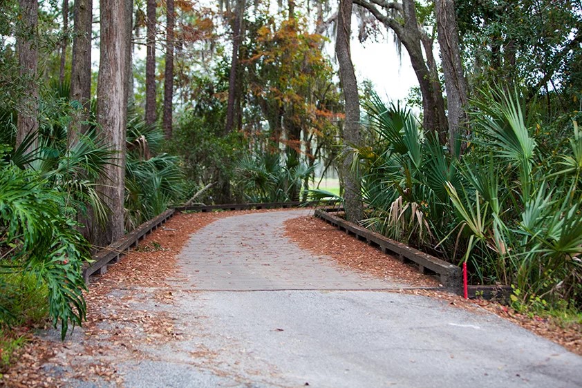 Tarpon Woods Bridge