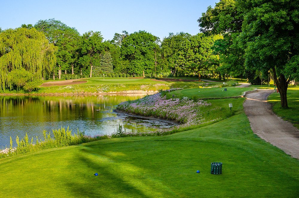 White Pines 2.jpeg