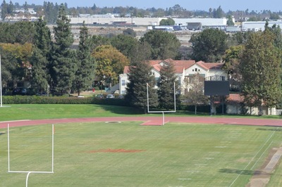 zinda field