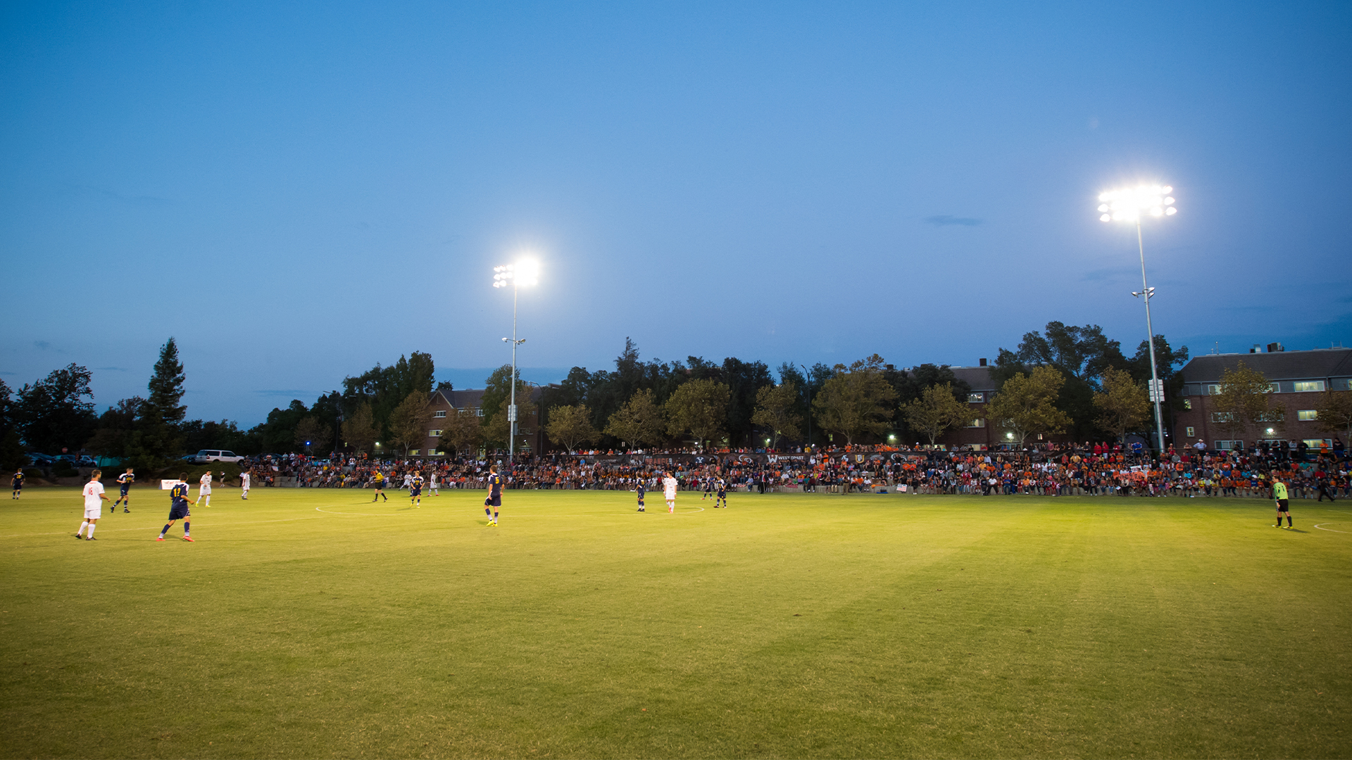 KNOLES FIELD