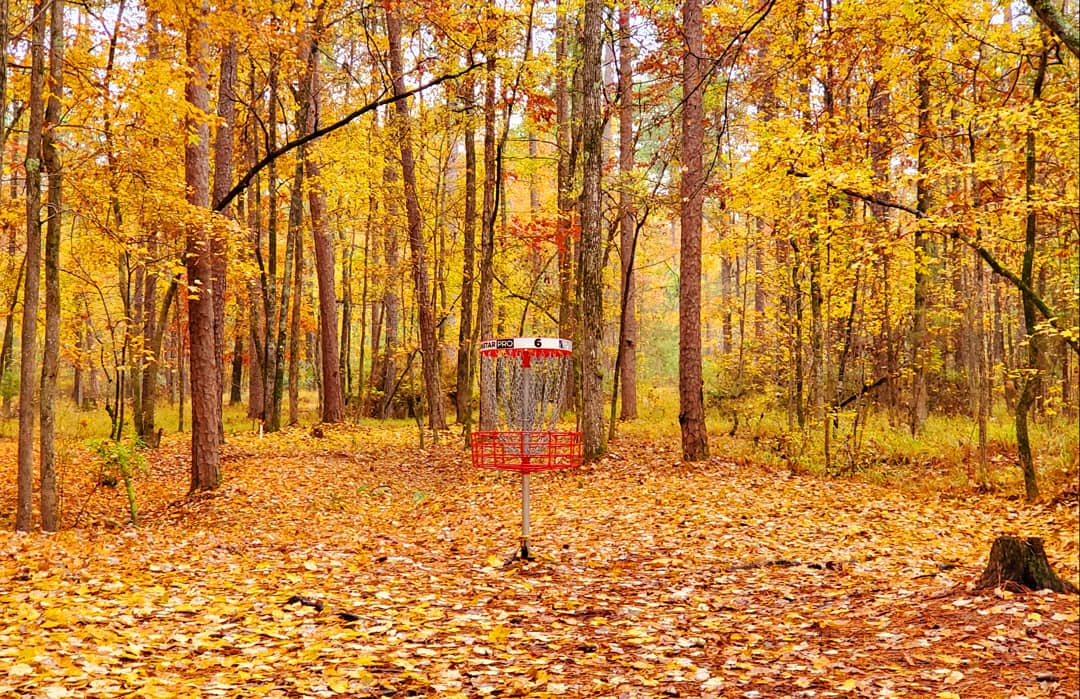 International Disc Golf Center 2