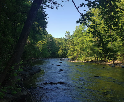 Patapsco Valley 1