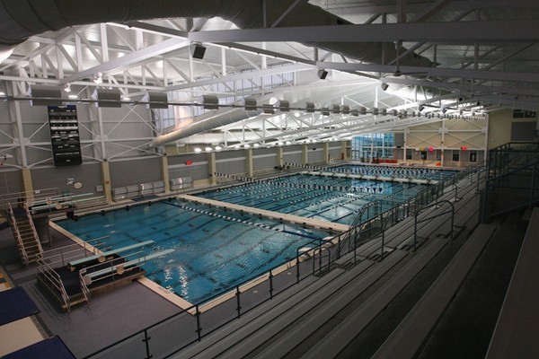 Kelsey Partridge Bird Natatorium .jpeg