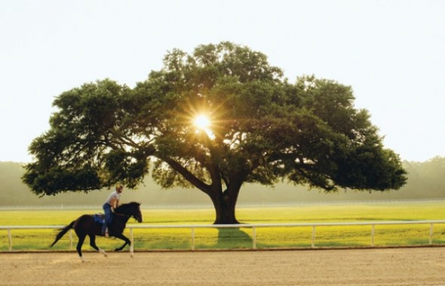 Aiken Training Track6