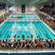 Natatorium swim