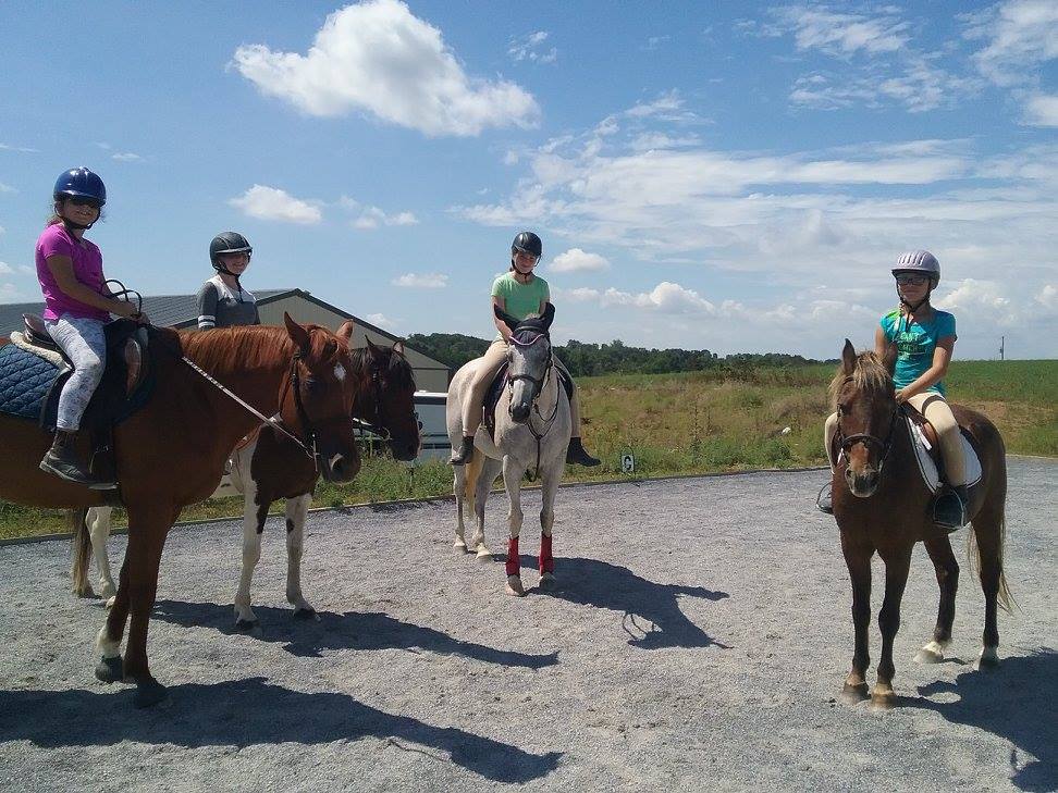 Virtue Stables4