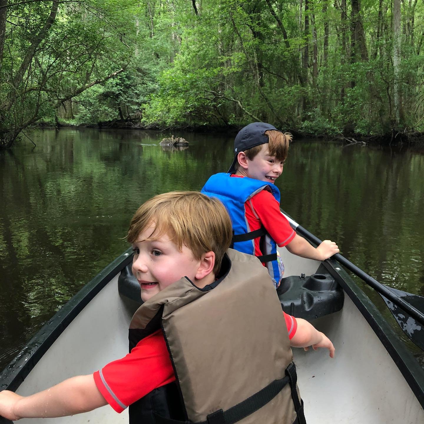 Aiken State Park6