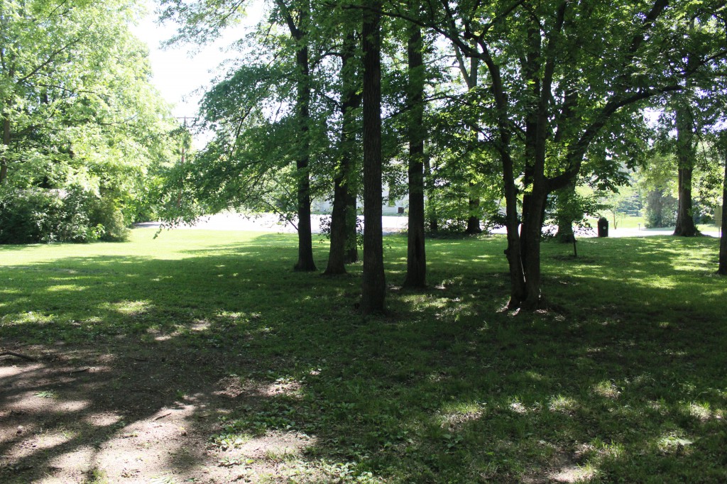 Chuck Crume Nature Park 3