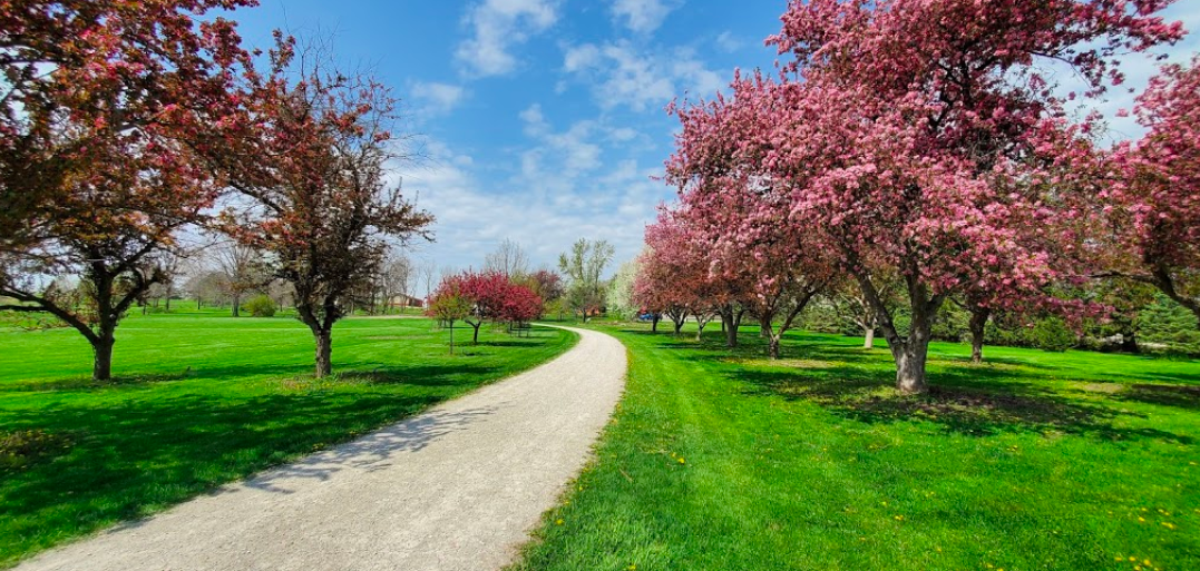 morgan creek park 5