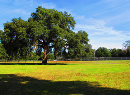 Bagdad Recreation Facility 5
