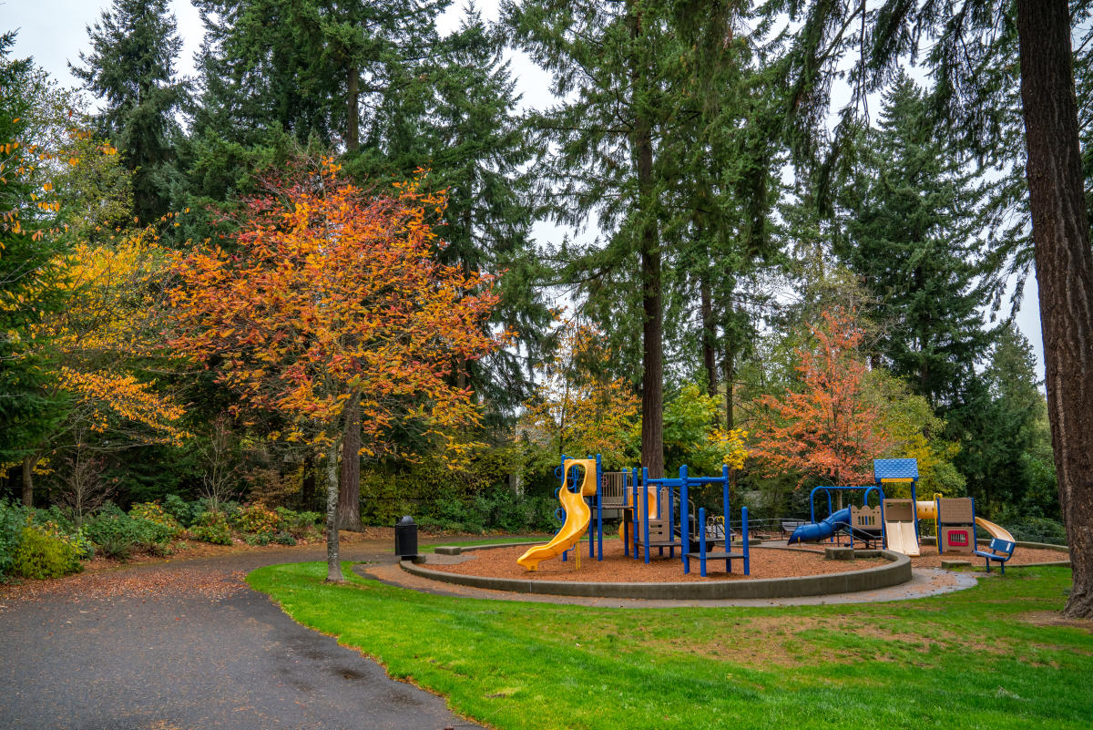 Angle Lake Park5