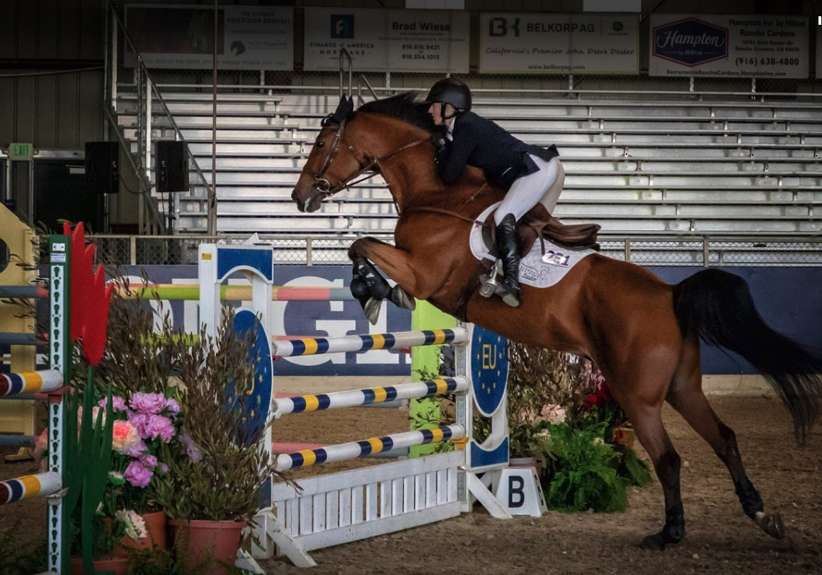 Murieta Equestrian Center 4