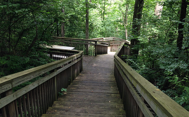 Amberleigh Community Park3