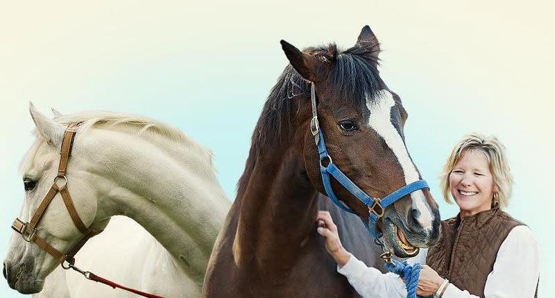 South Padre Island Equestrian Centre 2