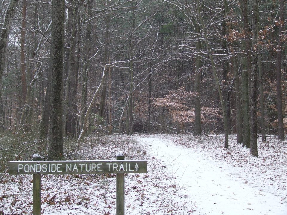 Killens Pond State Park2